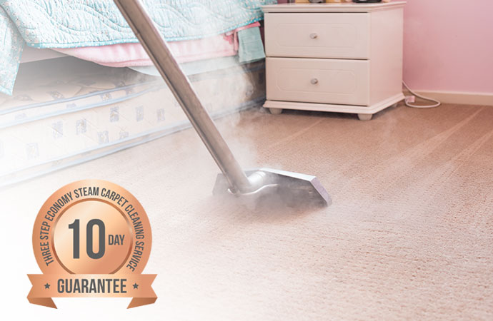 Carpet Cleaning with Steam