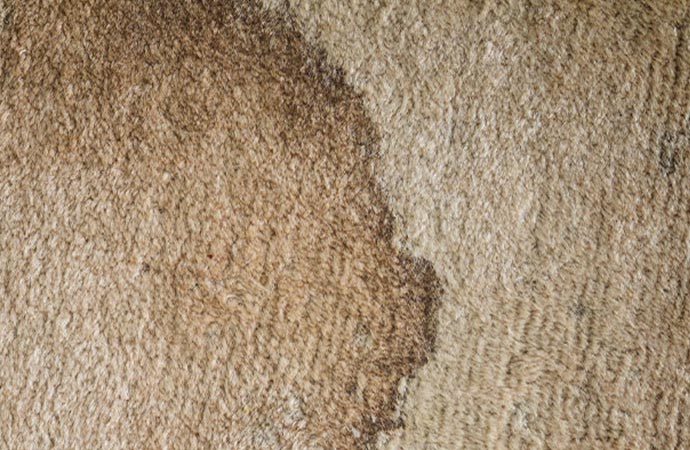 Carpet with a dry acid stain