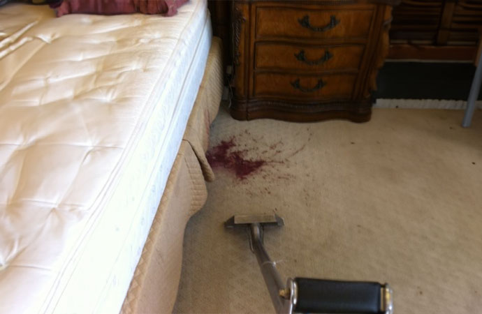 Carpet Stain Removal in Dallas-Fort Worth
