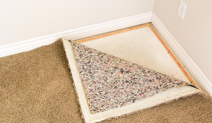Carpet Tack Strip Repair or Installation in Dallas-Fort Worth