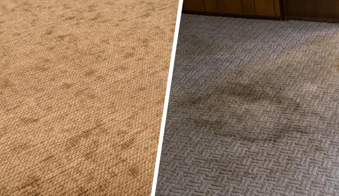 Collage of mold and mildew on carpet