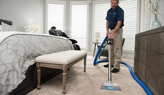 a dalworth professional cleaning a carpet