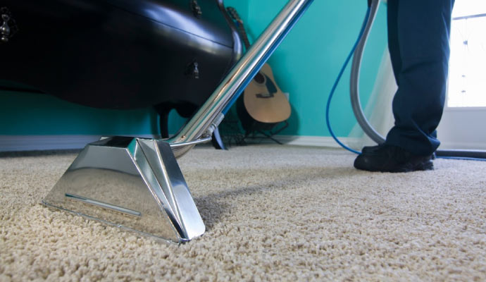 a professional doing hypoallergenic carpet cleaning