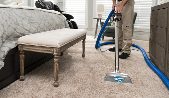 professional carpet cleaning