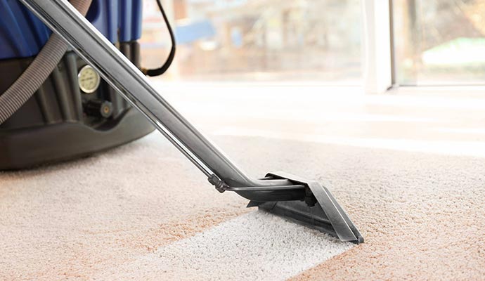 Professional carpet cleaning service