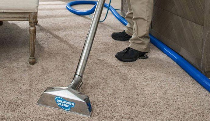 Professional worker removing pet allergens from the carpet
