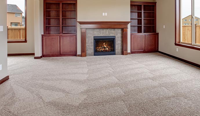 Stain and odor removal from the carpet