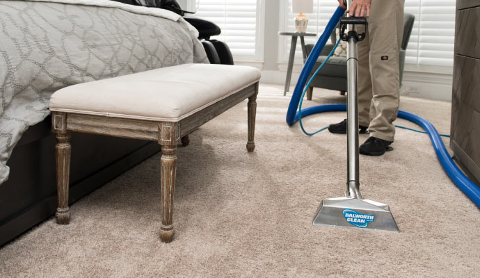 dalworth professional dry cleaning a carpet