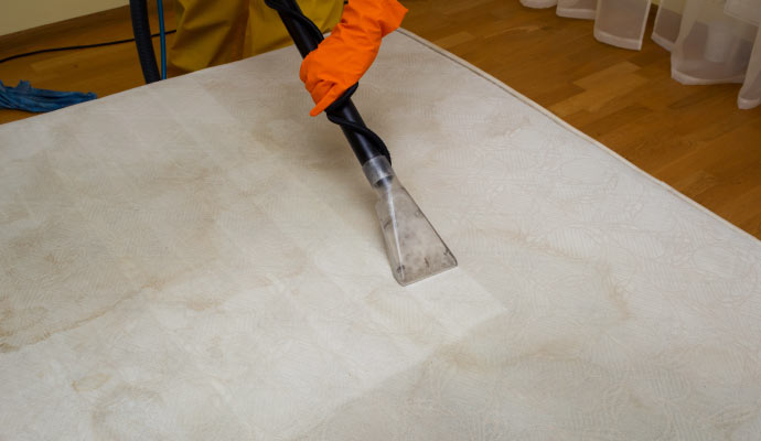 professional worker cleaning a dirty mattress