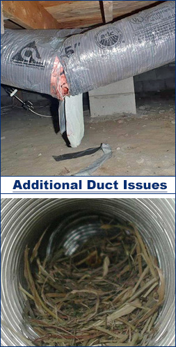 Broken duct system and nest inside duct