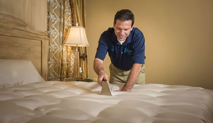 Professional worker cleaning mattress