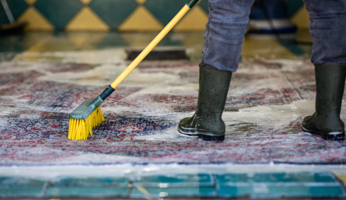 professional rug cleaning