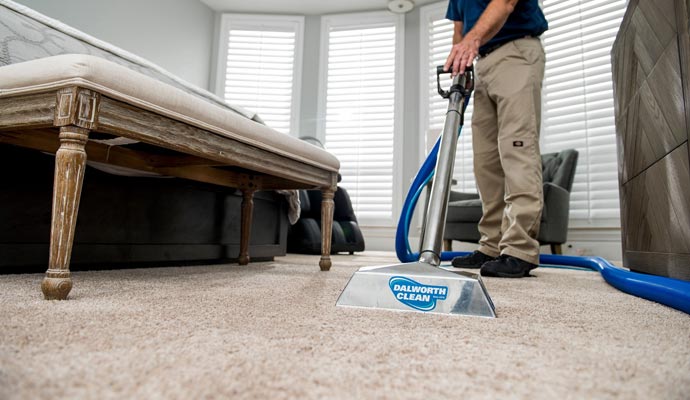 Do Our Carpet Cleaners Remove Pet Stains?