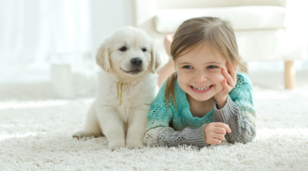 dog and a child sitting on a carpet in a living room
