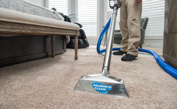 Stains and odor removal from the carpet
